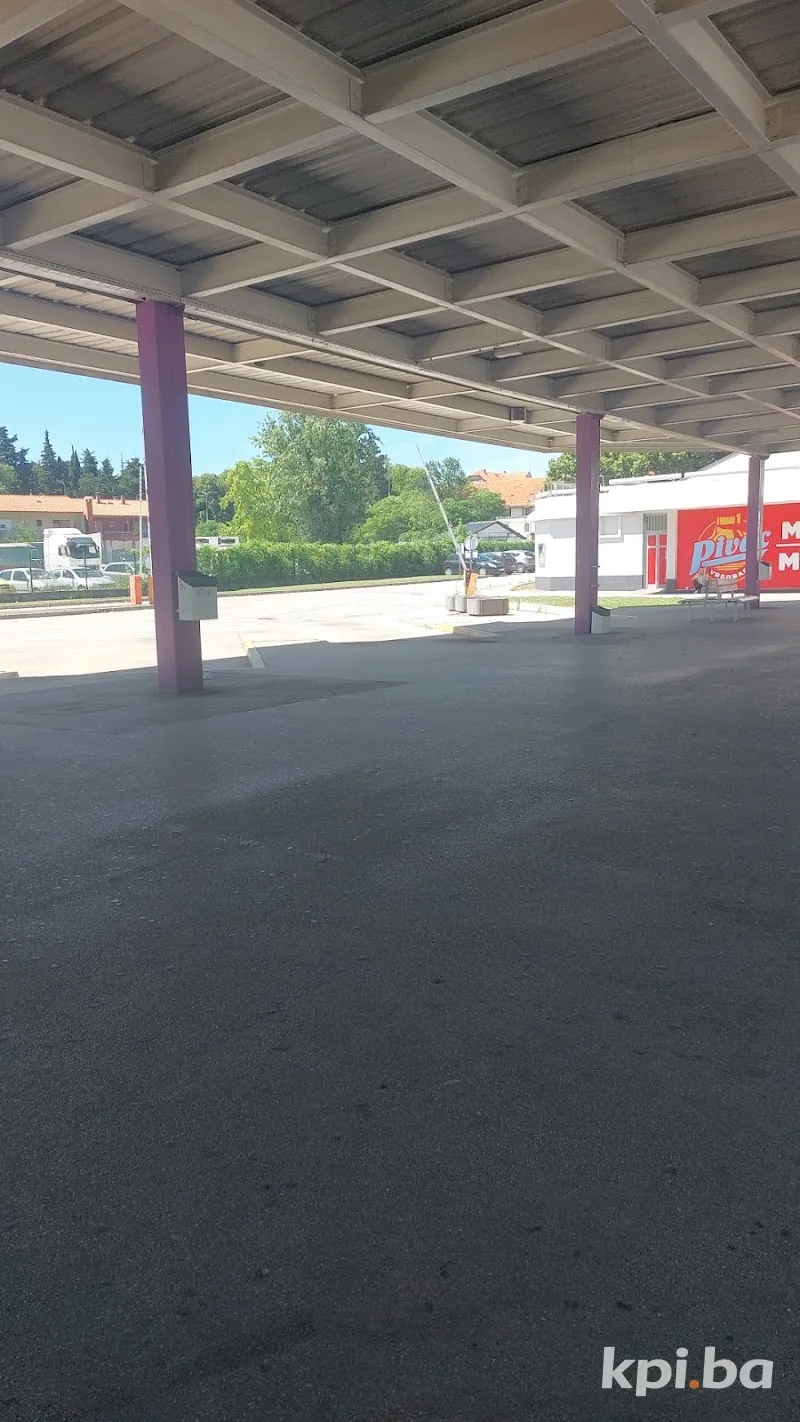 Slika 1