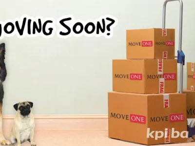 Move One Moving | Relocations | Pet Transportation | Logistics - Bosnia & Sarajevo
