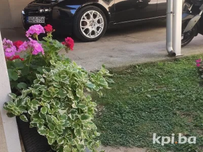 Kukic Tuning