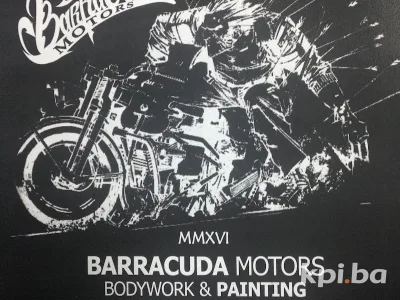 Barracuda Motors 2