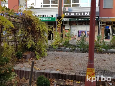 Camelija osiguranje 2