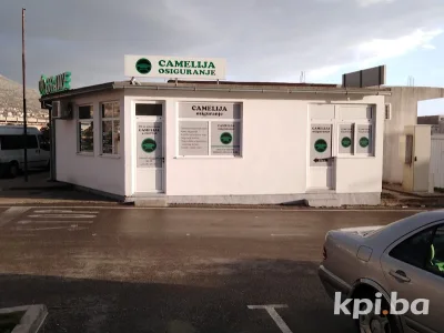 Camelija osiguranje 2