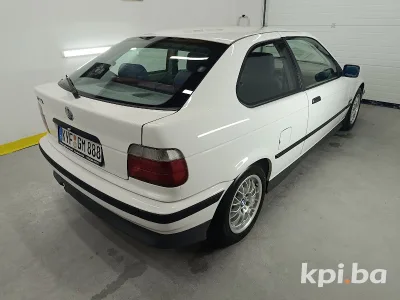 Wolf Detailing 2