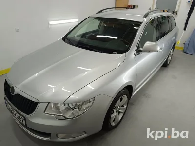 Wolf Detailing 3