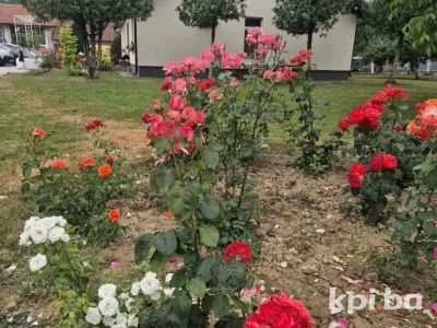 JKP Vilenica Čistoća d.o.o. Novi Travnik 2