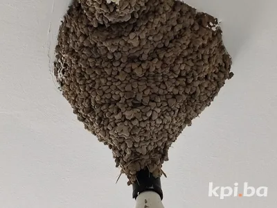 JP EPBiH PJD Goražde 2