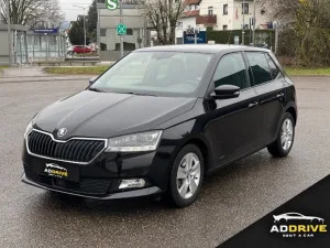 Slika 1