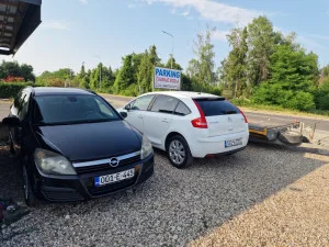 Slika 1