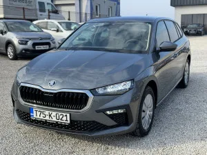Slika 1