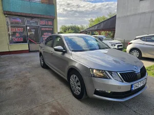 Slika 1